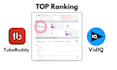 completely optimize yt video SEO for channel ranking