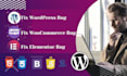 fix elementor website issues, fix wordpress issues, and elementor bugs