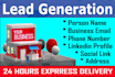 be an excel data capture virtual assistant