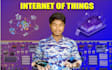 do professional iot arduino coding , projects , circuits services for you
