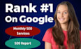 do monthly website seo service for google top ranking