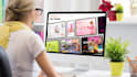 do website mobile UI UX analysis, and do indepth website auditing on wordpress
