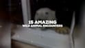 make top 10 videos within 24 hours delivery