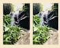 photo retouching and image editing with quick delivery