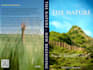 do professional fantasy and photographic storybook design