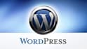 develop custom plugin or website design