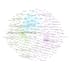 do data visualization eda with python, r and gephi