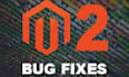 fix bug, develop, customize, maintain magento 2 store