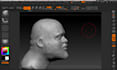 do 3d likeliness sculpture