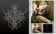 professionally design your 3d artwork for album cover art