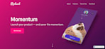 do webflow to wordpress website, webflow developer, figma to webflow to shopify