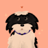 draw your pet in a cute style