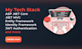 develop custom web applications and restful apis