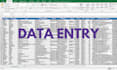 do data entry excel, web scraping, web research, excel sheet