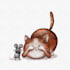 draw pet portrait, cute funny characters