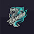 embroidery digitizing master dst, pes, jef, emb  rated service