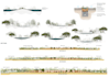 2d landscape architecture drawing plans, sections and elevations
