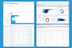 develop professional salesforce reports and dashboards to