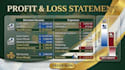 be your financial analyst, accountant, and prepare financial statements