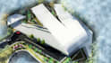 make 3d walkthrough, 3d building modeling, rendering