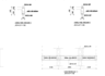 do structural design of beams, columns, and slabs for you