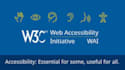 perform wcag and ada compliance testing for your website or application