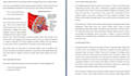 write exciting blog posts and articles