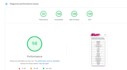 fix core web vitals with google pagespeed insights and gtmetrix