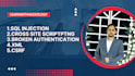 provide web application penetration testing services