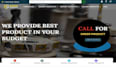 fix bugs, develop and upgrade laravel, PHP website