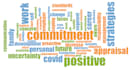 analyze the qualitative data using maxqda and write the findings