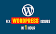 fix wordpress issues as a wordpress theme customization expert