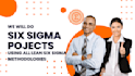 do lean six sigma projects and consultations