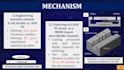 write scientific articles and essays