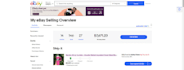handle your ebay dropshipping account