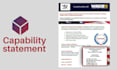 design a professional federal government contract capability statement