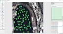 provide precise and efficient image annotation services for your project