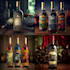 do professional  gin, wine, vodka, bottle label design