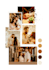 professionaly retouch and edi any images