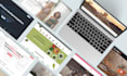 build a premium shopify ecommerce store