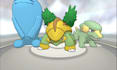 randomize your pokemon rom