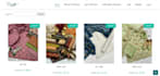 develop, remodel, or repair a wordpress website