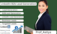 do perfect data entry, data mining, data collection, b2b lead generation