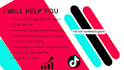 setup manage and optimize your tiktok ads campaigns