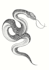 make custom tattoo design etching blackwork