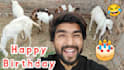 wish happy birthday song with custom message