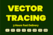 edit rework change retrace copy upgrade and modify your logo or image