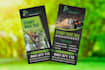design flyer, dl flyer poster and brochures