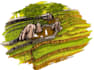 draw your landscape design perspectives and sketches