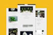 design and redesign wix and sqaurespace website in 2 days